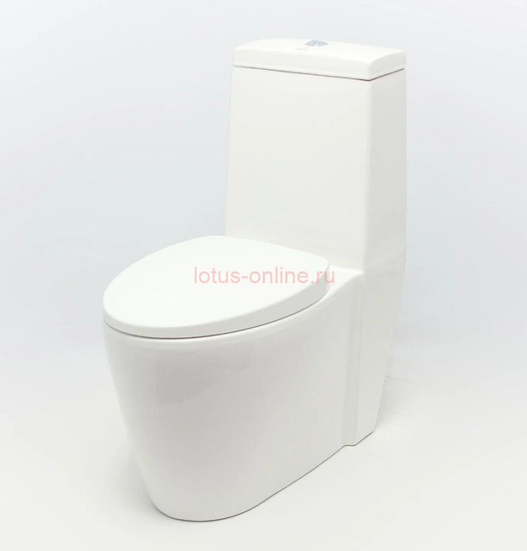 Унитаз-моноблок Т1071 UF сиденье ДП (с гофрой и подводкой), Eva...